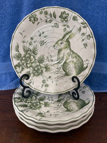 Nuovo set piatti insalata - set,
