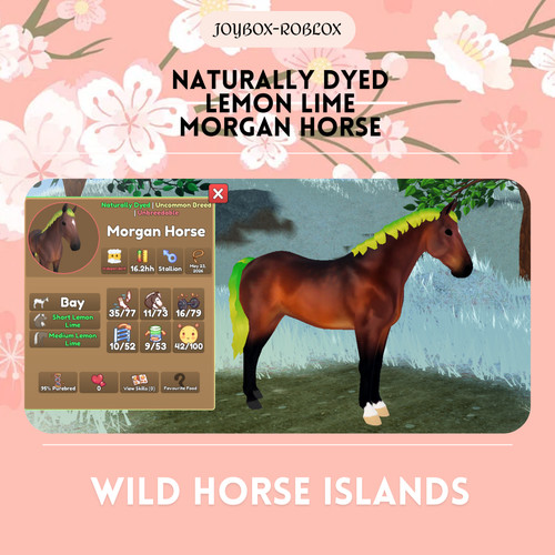 Wild horse islands - wild,